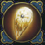 Celestial Shield
